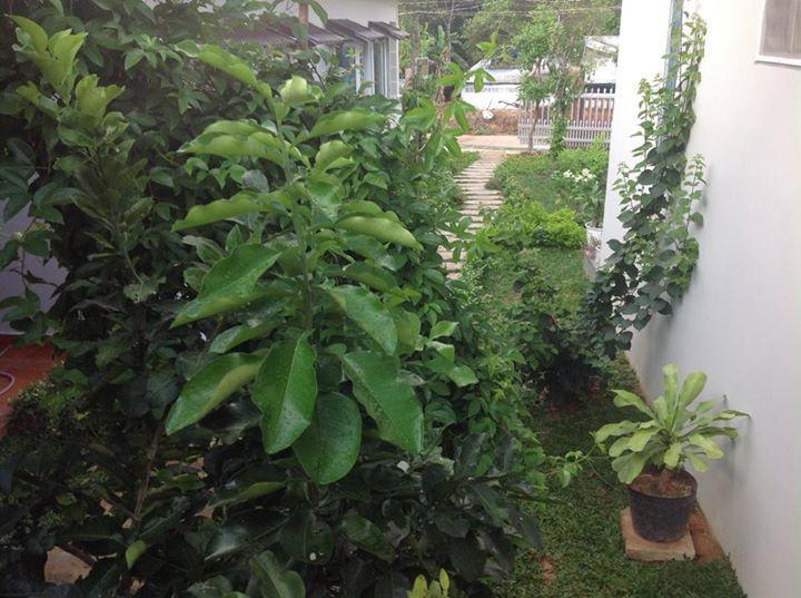 Manh Duyen Garden Homestay フーコック エクステリア 写真