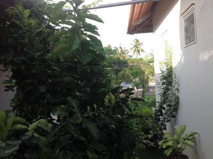 Manh Duyen Garden Homestay フーコック エクステリア 写真