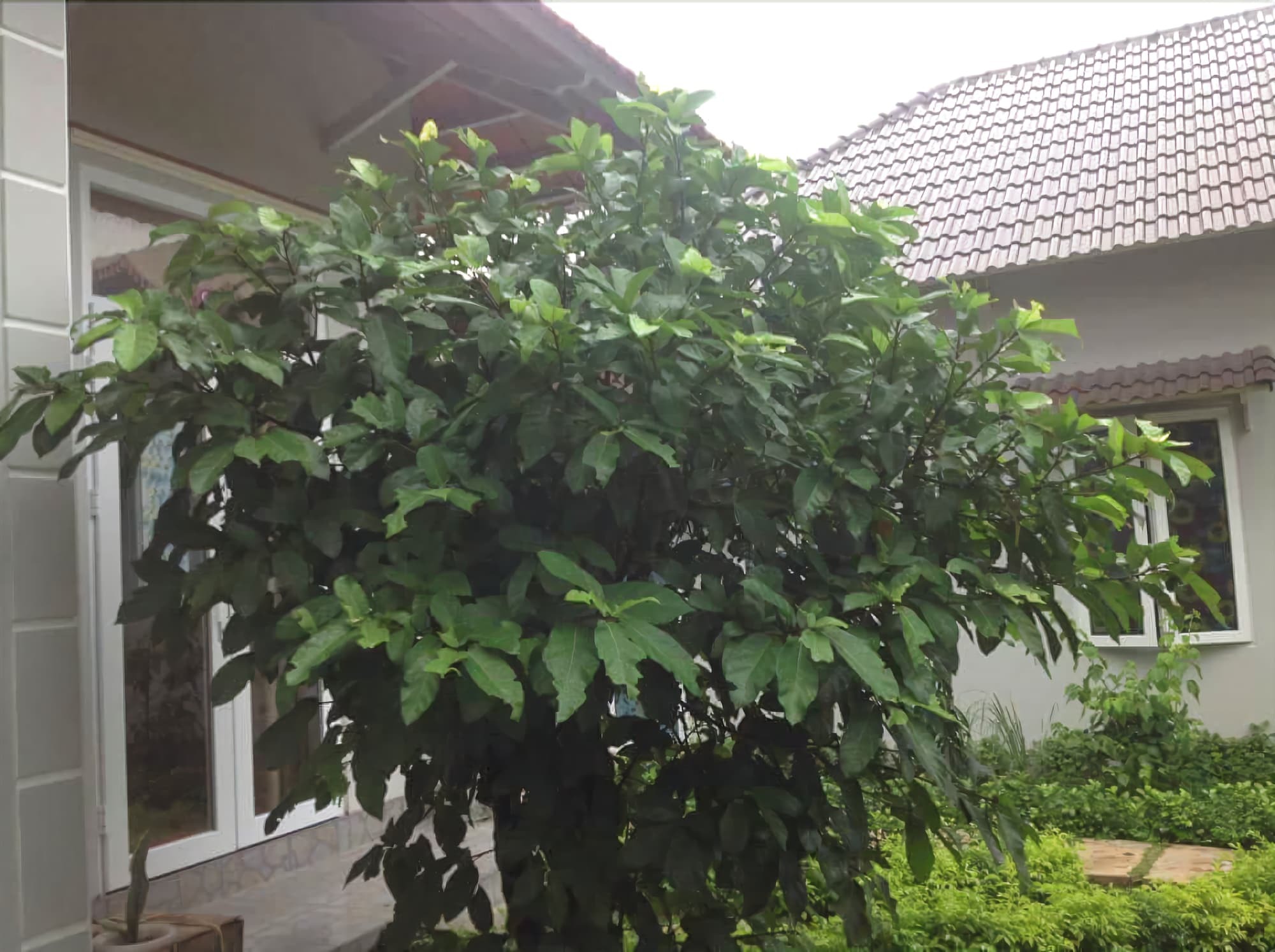 Manh Duyen Garden Homestay フーコック エクステリア 写真